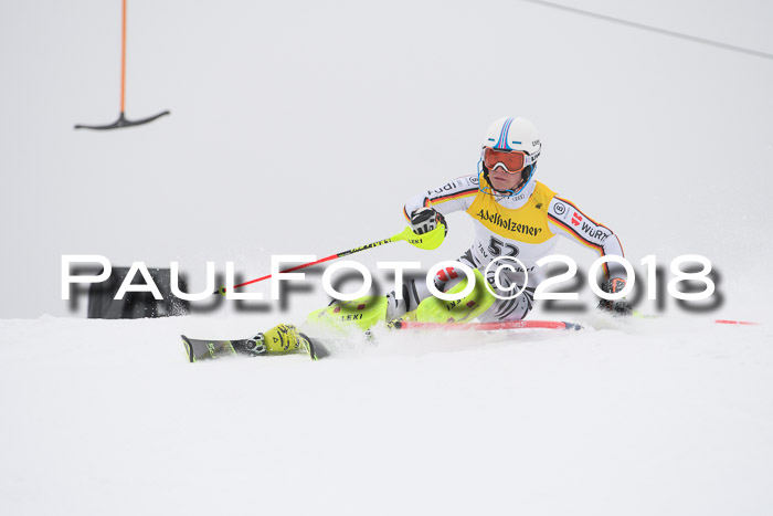 FIS Slalom Damen + Herren 23.02.2018