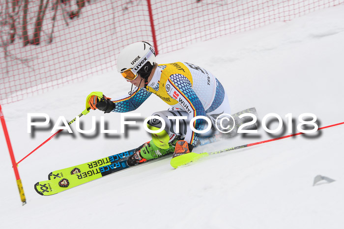 FIS Slalom Damen + Herren 23.02.2018