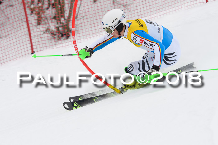 FIS Slalom Damen + Herren 23.02.2018