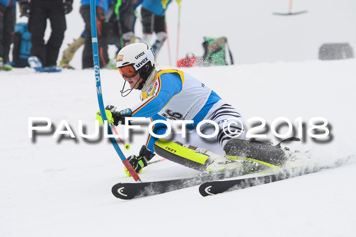 FIS Slalom Damen + Herren 23.02.2018