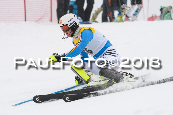 FIS Slalom Damen + Herren 23.02.2018