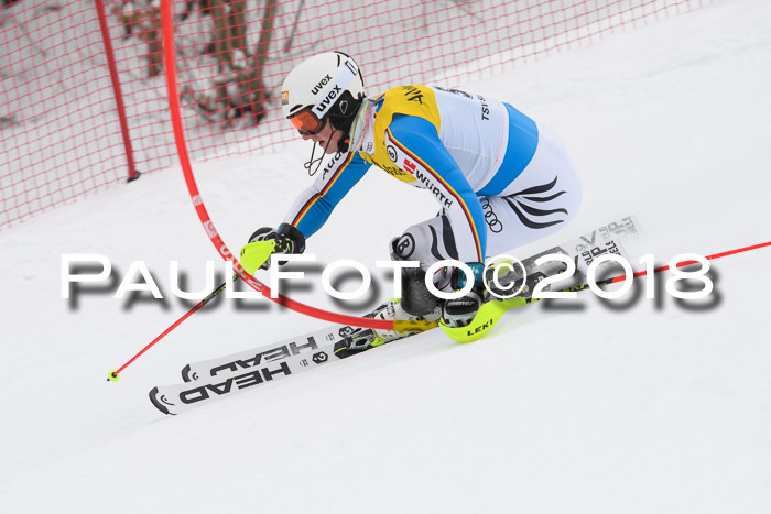 FIS Slalom Damen + Herren 23.02.2018
