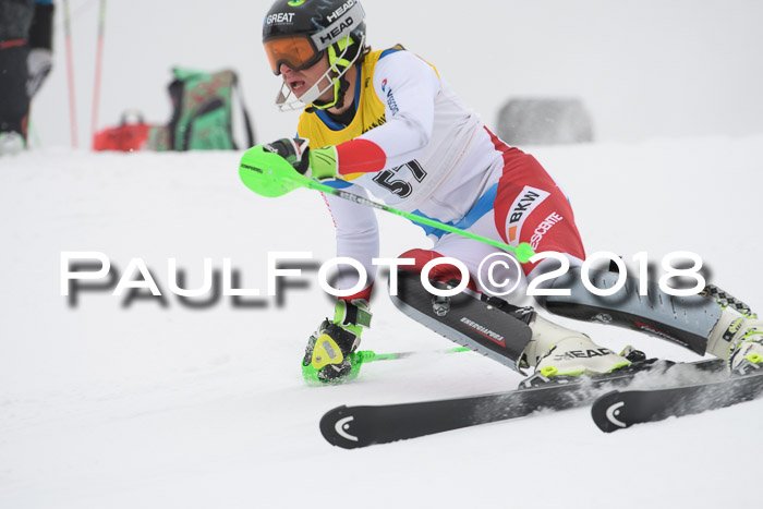 FIS Slalom Damen + Herren 23.02.2018