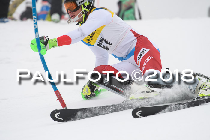 FIS Slalom Damen + Herren 23.02.2018
