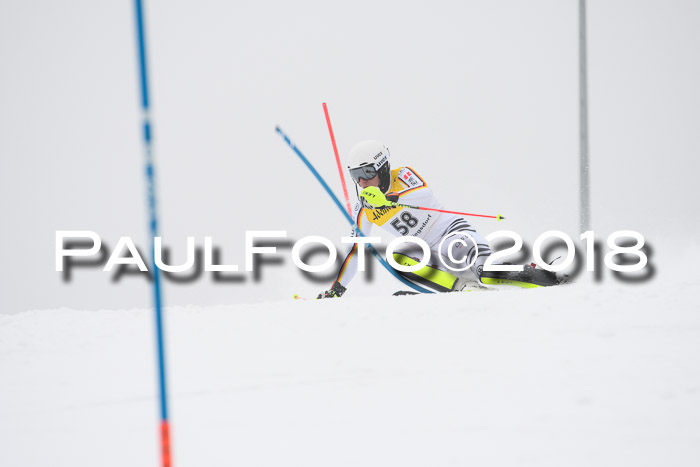 FIS Slalom Damen + Herren 23.02.2018