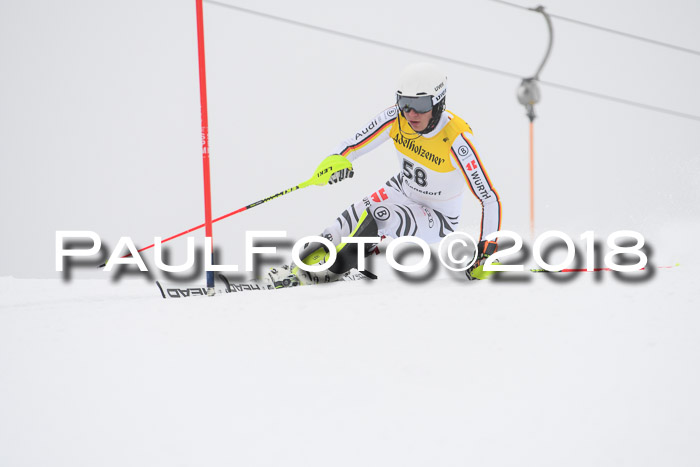 FIS Slalom Damen + Herren 23.02.2018