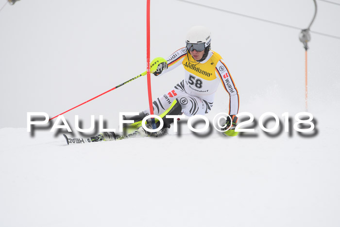 FIS Slalom Damen + Herren 23.02.2018