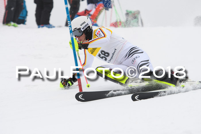 FIS Slalom Damen + Herren 23.02.2018