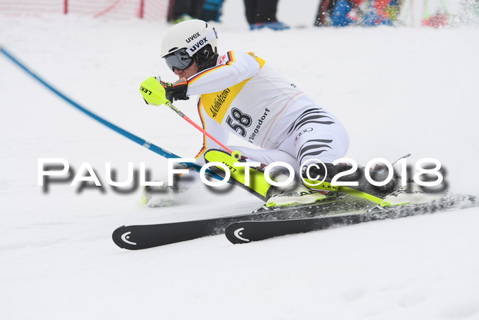 FIS Slalom Damen + Herren 23.02.2018