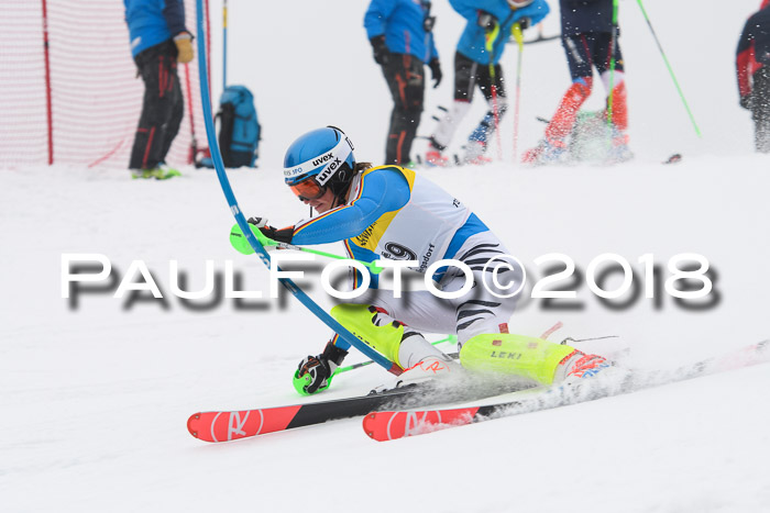 FIS Slalom Damen + Herren 23.02.2018