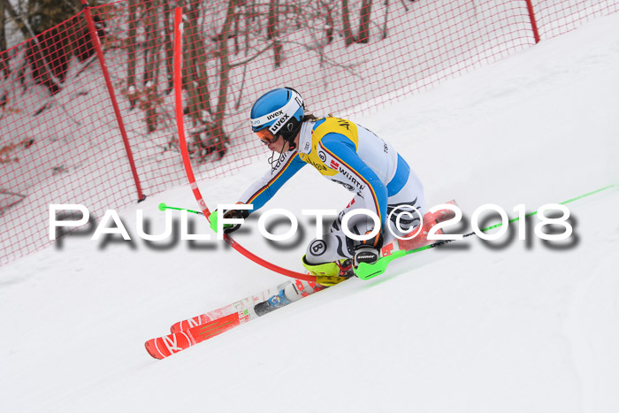 FIS Slalom Damen + Herren 23.02.2018