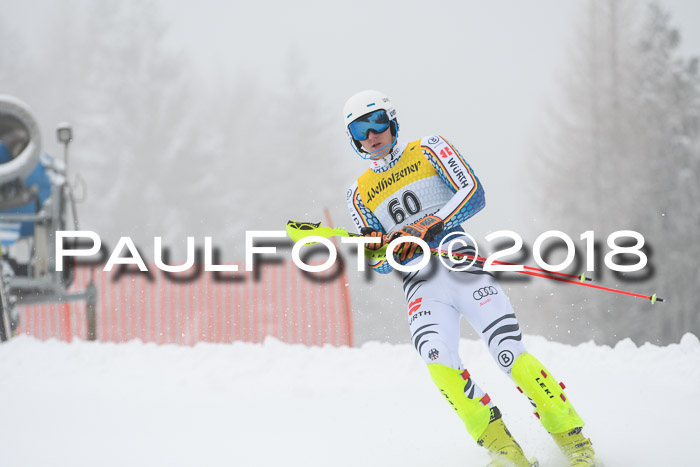 FIS Slalom Damen + Herren 23.02.2018