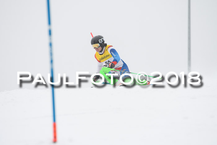 FIS Slalom Damen + Herren 23.02.2018