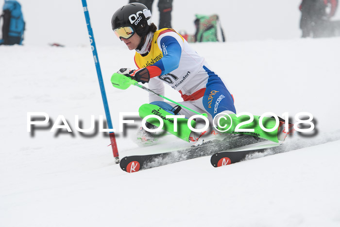 FIS Slalom Damen + Herren 23.02.2018