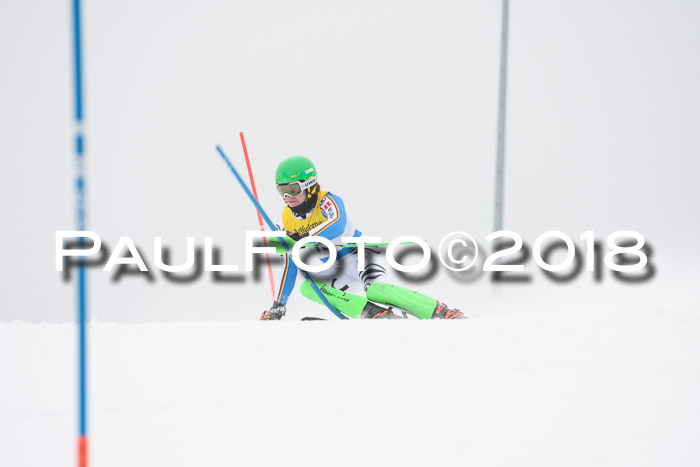 FIS Slalom Damen + Herren 23.02.2018