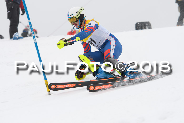 FIS Slalom Damen + Herren 23.02.2018