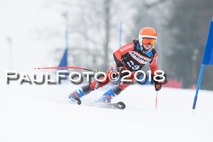 BSV U12 Kids Cross Cup 3 Region 3, 24.02.2018