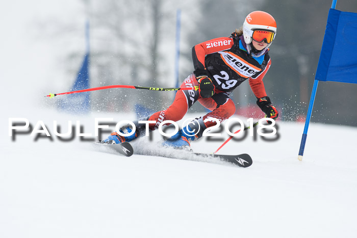 BSV U12 Kids Cross Cup 3 Region 3, 24.02.2018