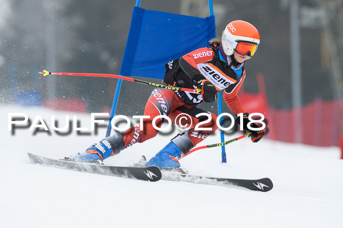 BSV U12 Kids Cross Cup 3 Region 3, 24.02.2018