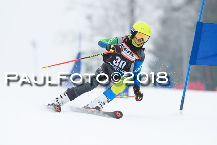 BSV U12 Kids Cross Cup 3 Region 3, 24.02.2018