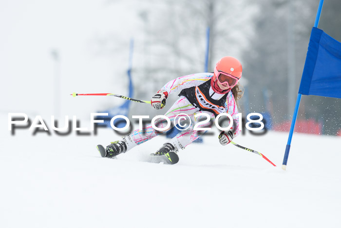 BSV U12 Kids Cross Cup 3 Region 3, 24.02.2018