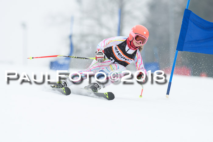 BSV U12 Kids Cross Cup 3 Region 3, 24.02.2018