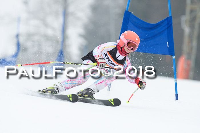 BSV U12 Kids Cross Cup 3 Region 3, 24.02.2018