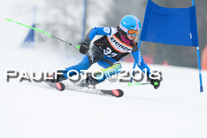 BSV U12 Kids Cross Cup 3 Region 3, 24.02.2018
