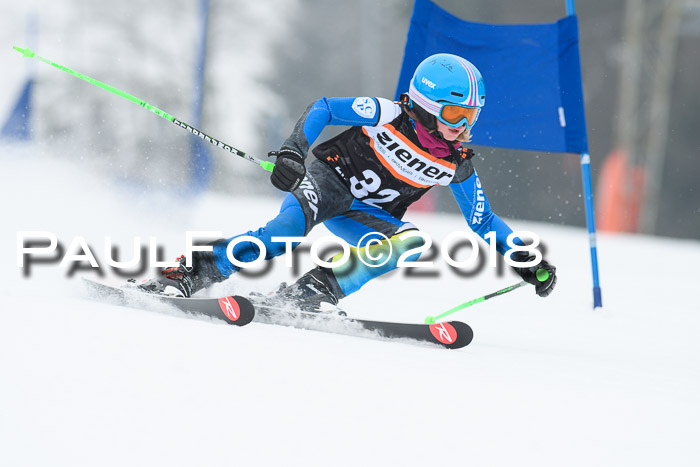 BSV U12 Kids Cross Cup 3 Region 3, 24.02.2018