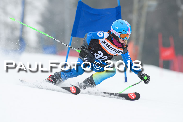 BSV U12 Kids Cross Cup 3 Region 3, 24.02.2018