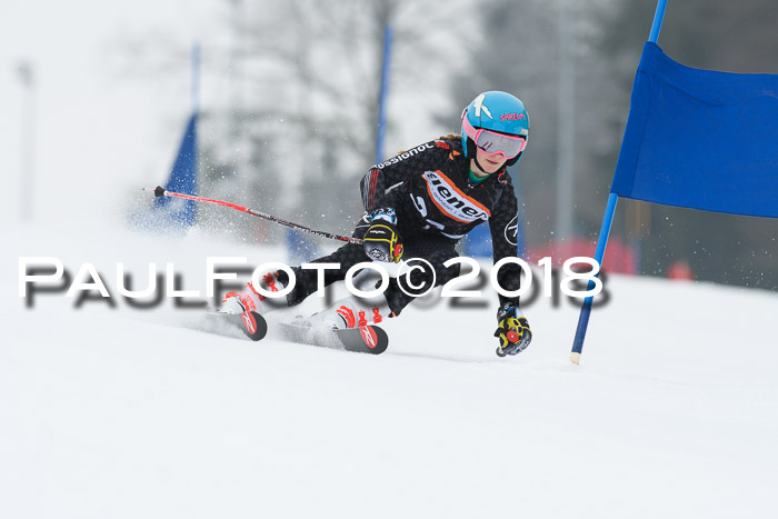 BSV U12 Kids Cross Cup 3 Region 3, 24.02.2018