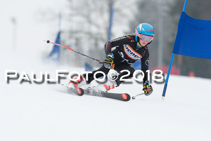 BSV U12 Kids Cross Cup 3 Region 3, 24.02.2018