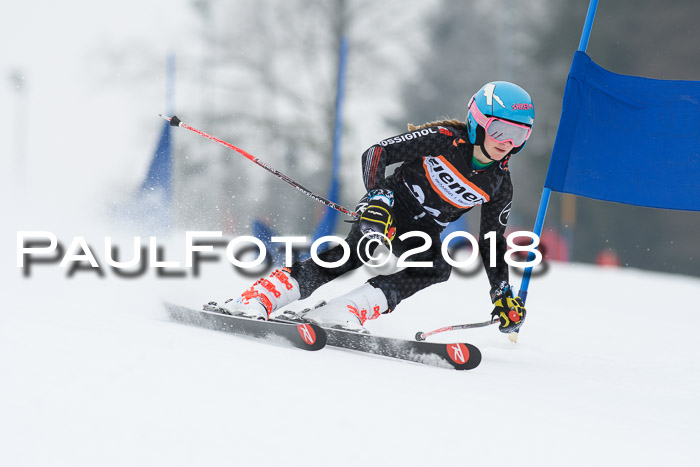 BSV U12 Kids Cross Cup 3 Region 3, 24.02.2018