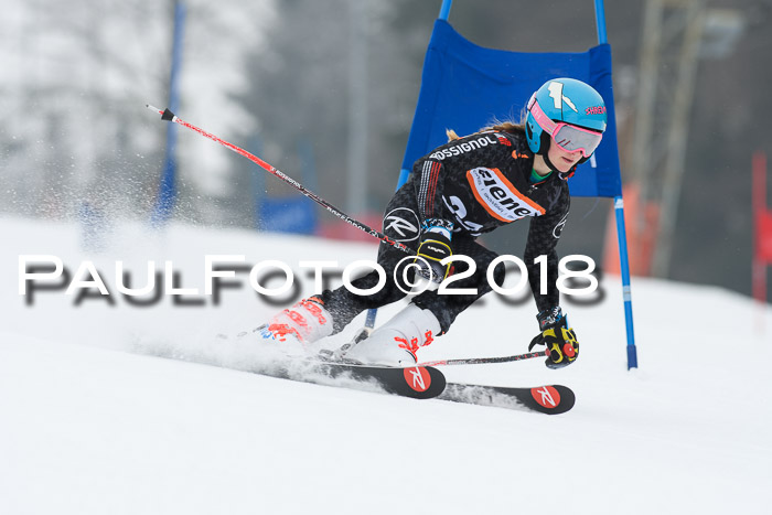 BSV U12 Kids Cross Cup 3 Region 3, 24.02.2018