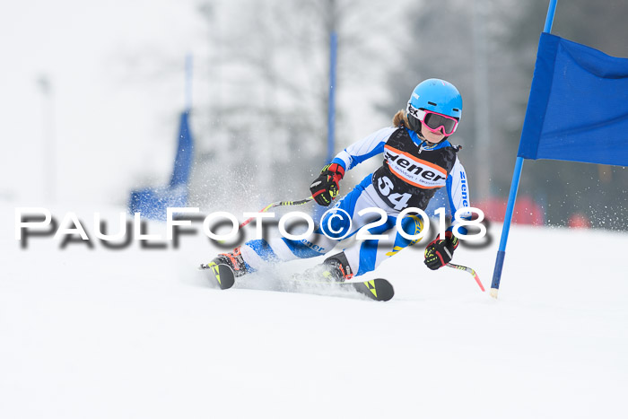 BSV U12 Kids Cross Cup 3 Region 3, 24.02.2018