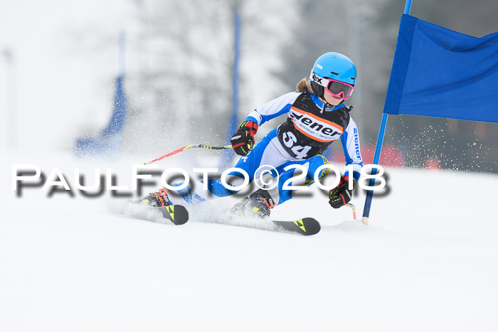 BSV U12 Kids Cross Cup 3 Region 3, 24.02.2018