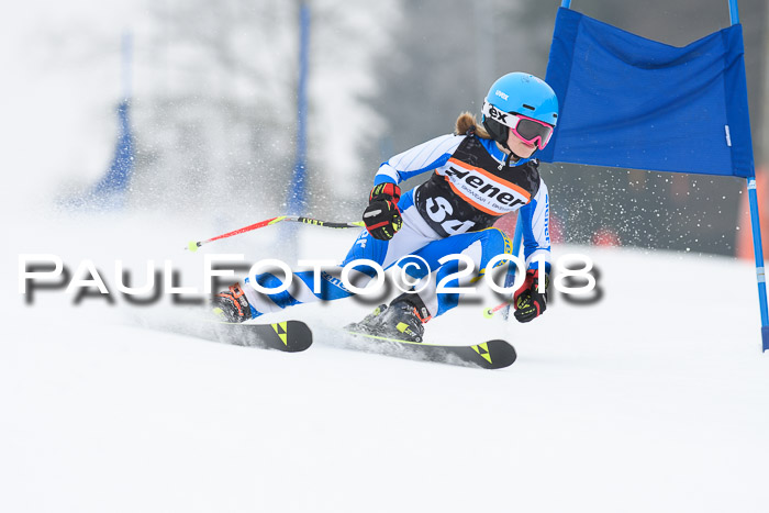BSV U12 Kids Cross Cup 3 Region 3, 24.02.2018