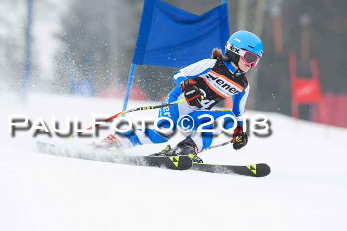 BSV U12 Kids Cross Cup 3 Region 3, 24.02.2018
