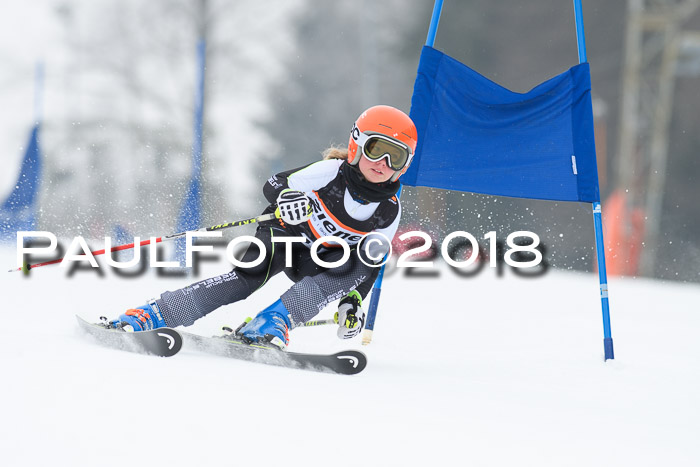 BSV U12 Kids Cross Cup 3 Region 3, 24.02.2018