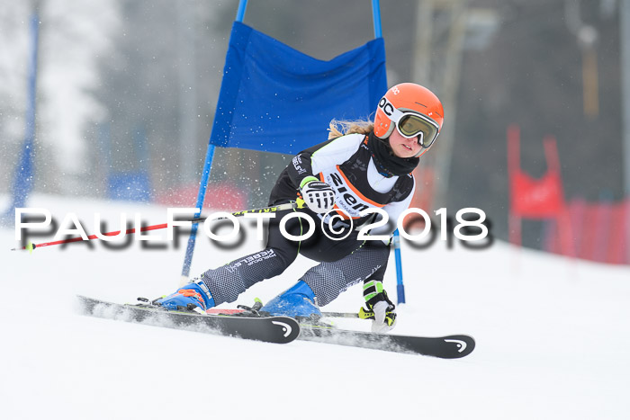 BSV U12 Kids Cross Cup 3 Region 3, 24.02.2018