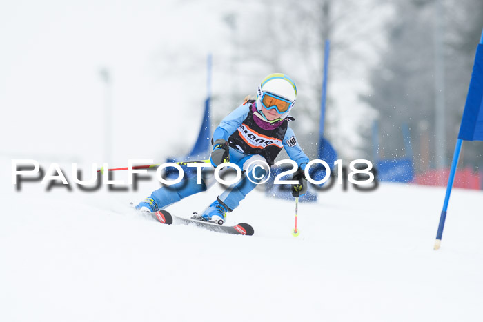 BSV U12 Kids Cross Cup 3 Region 3, 24.02.2018