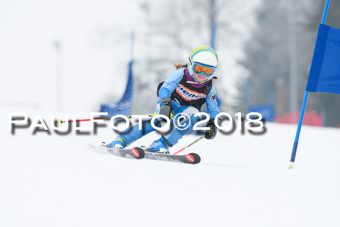 BSV U12 Kids Cross Cup 3 Region 3, 24.02.2018