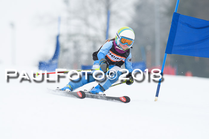 BSV U12 Kids Cross Cup 3 Region 3, 24.02.2018