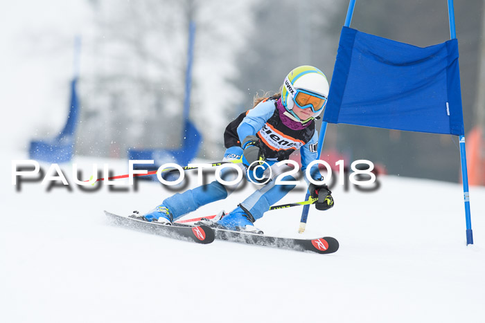 BSV U12 Kids Cross Cup 3 Region 3, 24.02.2018