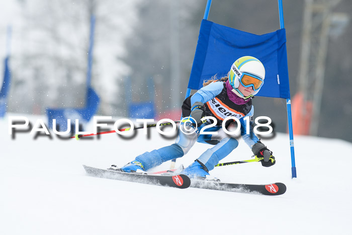 BSV U12 Kids Cross Cup 3 Region 3, 24.02.2018