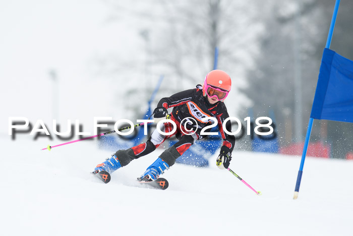 BSV U12 Kids Cross Cup 3 Region 3, 24.02.2018
