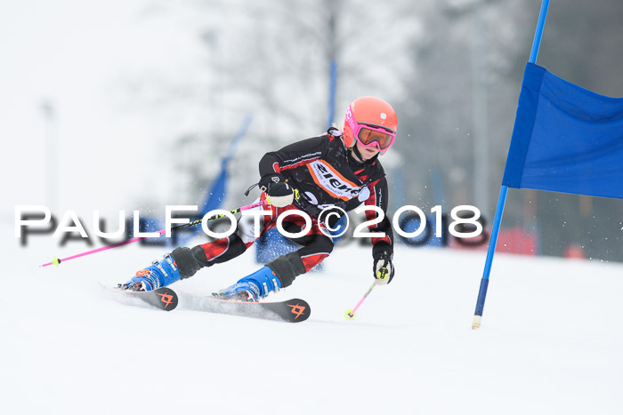 BSV U12 Kids Cross Cup 3 Region 3, 24.02.2018
