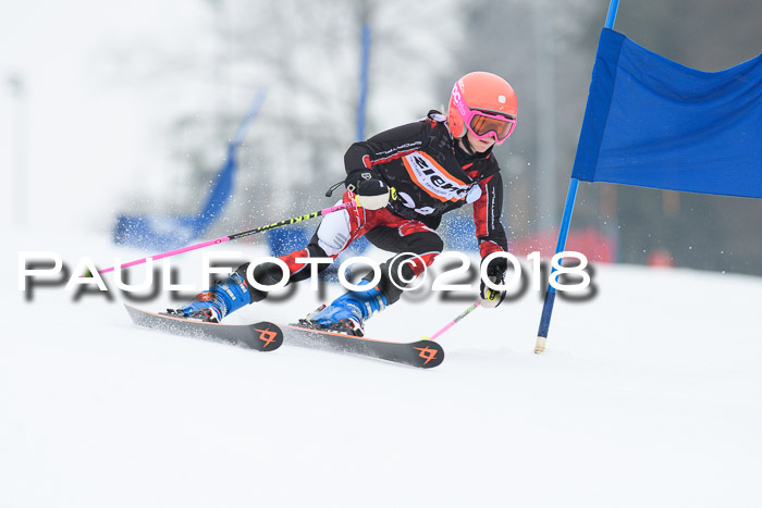 BSV U12 Kids Cross Cup 3 Region 3, 24.02.2018