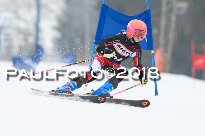 BSV U12 Kids Cross Cup 3 Region 3, 24.02.2018