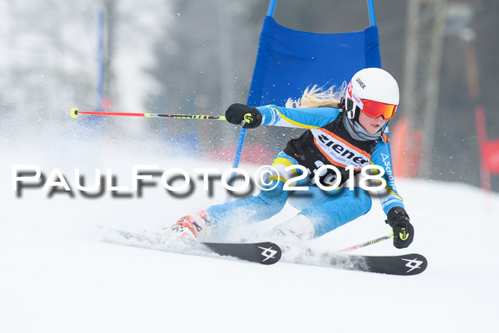 BSV U12 Kids Cross Cup 3 Region 3, 24.02.2018